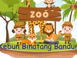 Kebun Binatang Bandung Terancam Hilang?, Rencana Wali Kota Farhan Tuai Gelombang Kritik