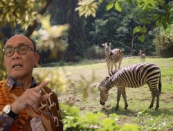 Pembangkangan Terhadap Presiden atau Penghinaan Sejarah?